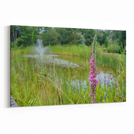 Olla 13829Y Doğa / Manzara Görseli Yatay Kanvas Tablo (Ölçü: 30X20)