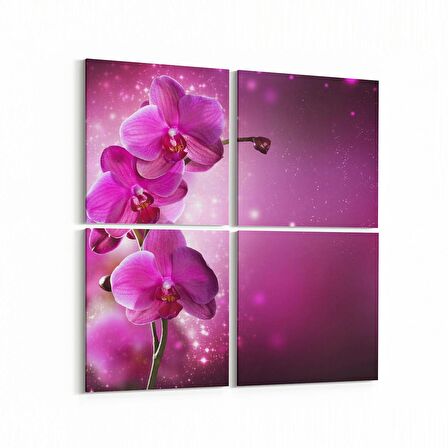 Olla 11748K4 Orkide Çiçek Görseli Kare 4'lü Kanvas Tablo (Ölçü: 125X125)