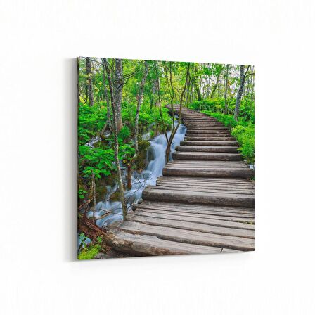 Olla 13841K Doğa / Manzara Görseli Kare Kanvas Tablo (Ölçü: 30X30)