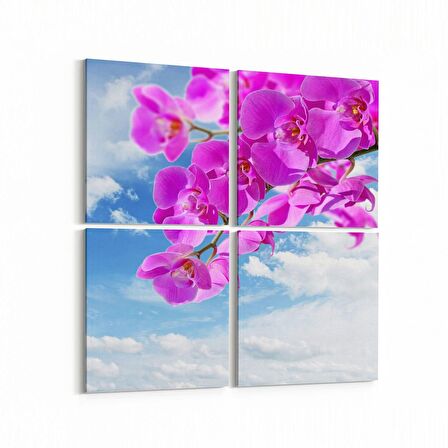 Olla 11713K4 Orkide Çiçek Görseli Kare 4'lü Kanvas Tablo (Ölçü: 145X145)