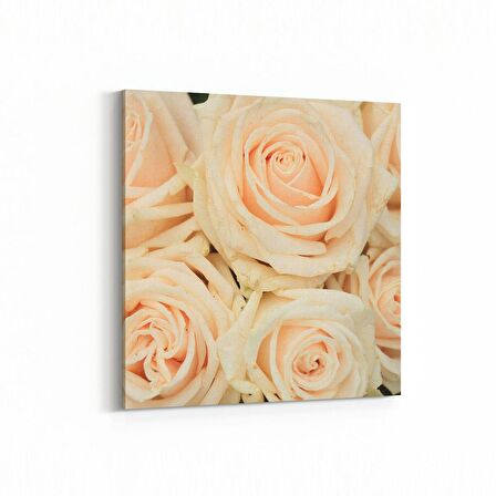 Olla 11619K Çiçek Görseli Kare Kanvas Tablo (Ölçü: 60X60)