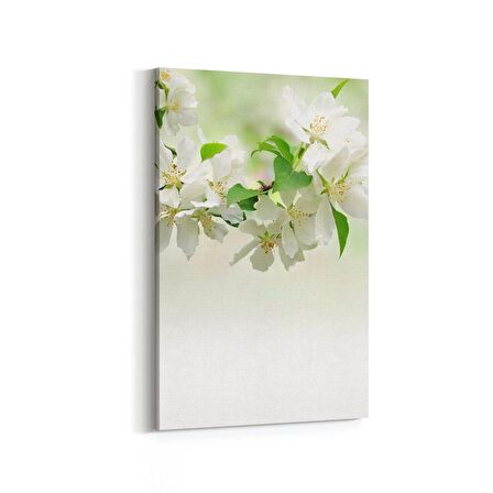 Olla 11752D Orkide Çiçek Görseli Dikey Kanvas Tablo (Ölçü: 20X30)