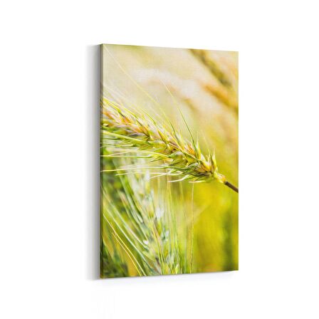 Olla 13670D Doğa / Manzara Görseli Dikey Kanvas Tablo (Ölçü: 20X30)