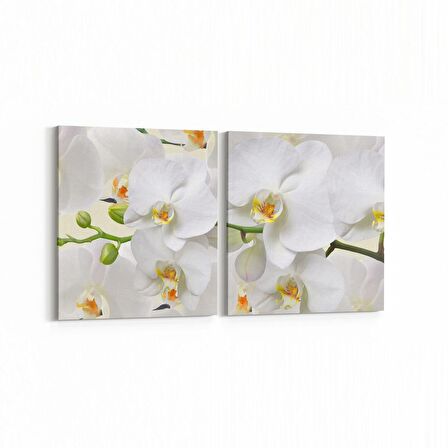 Olla 11733K2Y Orkide Çiçek Görseli 2'li Yatay Kanvas Tablo (Ölçü: 105X50)