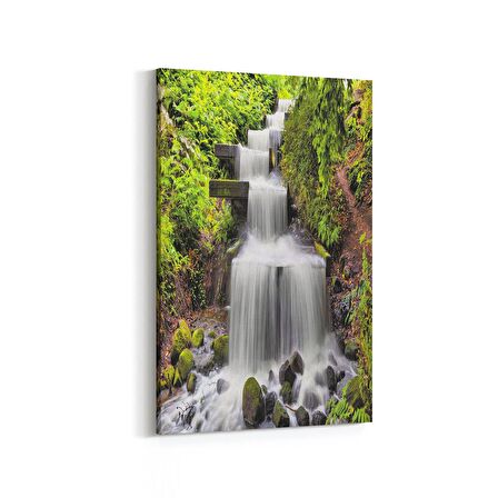Olla 13650D Doğa / Manzara Görseli Dikey Kanvas Tablo (Ölçü: 100X150)