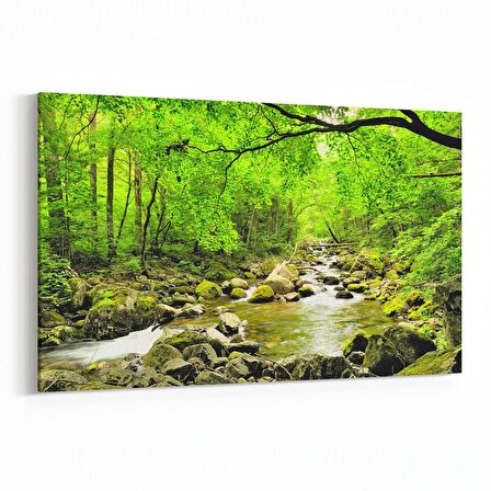 Olla 13954Y Doğa / Manzara Görseli Yatay Kanvas Tablo (Ölçü: 30X20)