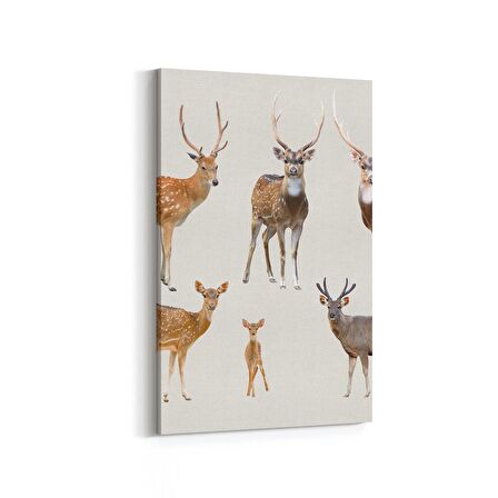 Olla 12686D Hayvanlar Alemi Görseli Dikey Kanvas Tablo (Ölçü: 60X90)