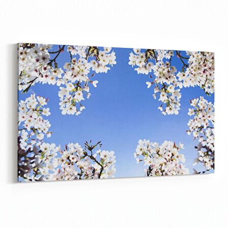 Olla 10711Y Ağaç Görseli Yatay Kanvas Tablo (Ölçü: 30X20)