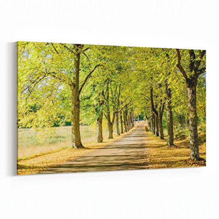 Olla 13285Y Doğa / Manzara Görseli Yatay Kanvas Tablo (Ölçü: 120X80)