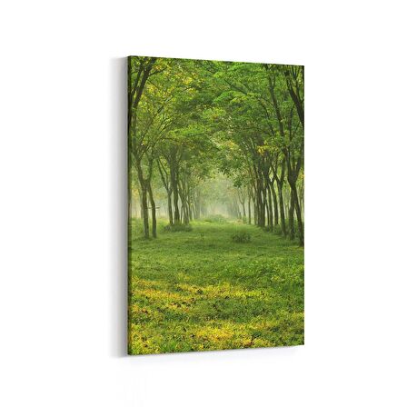 Olla 13535D Doğa / Manzara Görseli Dikey Kanvas Tablo (Ölçü: 80X120)