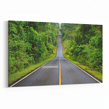 Olla 13267Y Doğa / Manzara Görseli Yatay Kanvas Tablo (Ölçü: 30X20)