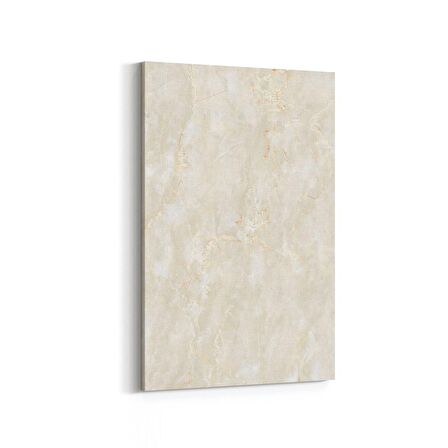 Olla 16725D Mermer Desen Görsel Dikey Kanvas Tablo (Ölçü: 70X105)