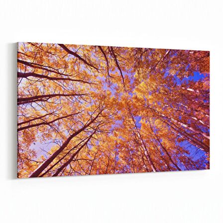 Olla 10606Y Ağaç Görseli Yatay Kanvas Tablo (Ölçü: 90X60)
