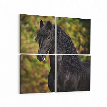 Olla 12509K4 Hayvanlar Alemi Görseli Kare 4'lü Kanvas Tablo (Ölçü: 105X105)