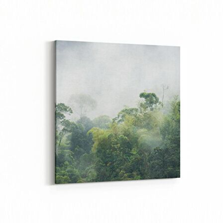 Olla 14086K Doğa / Manzara Görseli Kare Kanvas Tablo (Ölçü: 25X25)