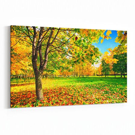 Olla 13174Y Doğa / Manzara Görseli Yatay Kanvas Tablo (Ölçü: 45X30)