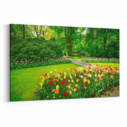 Olla 13668Y Doğa / Manzara Görseli Yatay Kanvas Tablo (Ölçü: 70X50)