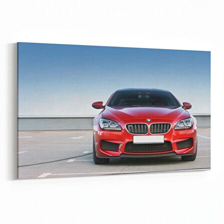 Olla 12346Y Araç Görseli Yatay Kanvas Tablo (Ölçü: 120X80)