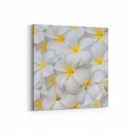 Olla 11633K Çiçek Görseli Kare Kanvas Tablo (Ölçü: 25X25)