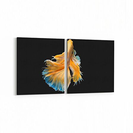 Olla 12486K2Y Hayvanlar Alemi Görseli Kare 2'li Yatay Kanvas Tablo (Ölçü: 85X40)