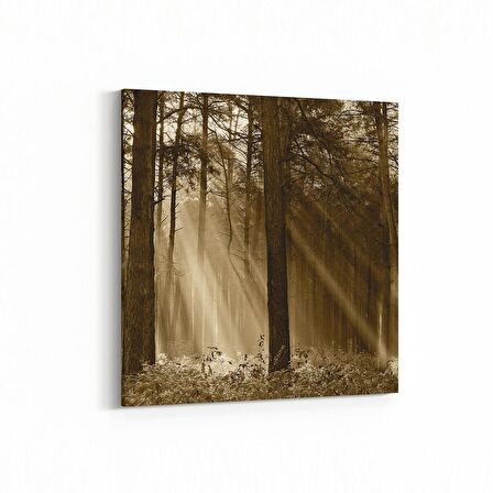 Olla 13430K Doğa / Manzara Görseli Kare Kanvas Tablo (Ölçü: 25X25)