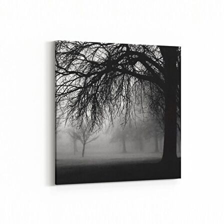 Olla 13652K Doğa / Manzara Görseli Kare Kanvas Tablo (Ölçü: 100X100)