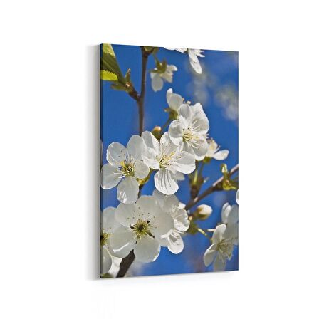 Olla 10477D Ağaç Görseli Dikey Kanvas Tablo (Ölçü: 40X60)