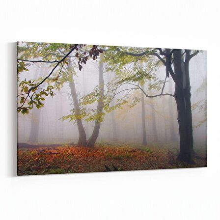 Olla 14134Y Doğa / Manzara Görseli Yatay Kanvas Tablo (Ölçü: 150X100)