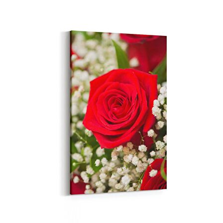 Olla 11571D Çiçek Görseli Dikey Kanvas Tablo (Ölçü: 20X30)