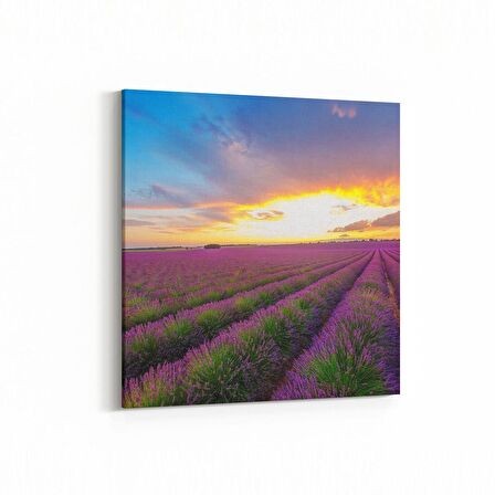 Olla 16094K Günbatımı Görseli Kare Kanvas Tablo (Ölçü: 25X25)