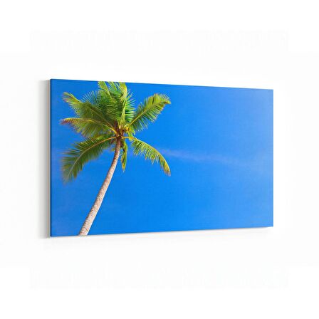 Olla 11546Y Palmiye Ağacı Görseli Yatay Kanvas Tablo (Ölçü: 45X30)