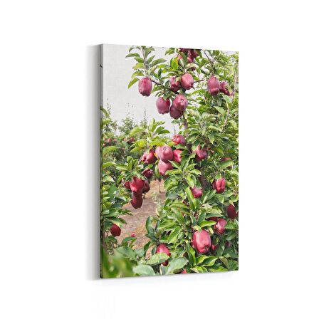 Olla 15079D Gıda Görseli Dikey Kanvas Tablo (Ölçü: 80X120)
