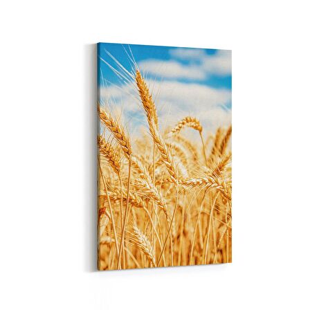 Olla 13295D Doğa / Manzara Görseli Dikey Kanvas Tablo (Ölçü: 60X90)