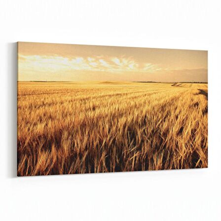 Olla 14008Y Doğa / Manzara Görseli Yatay Kanvas Tablo (Ölçü: 150X100)