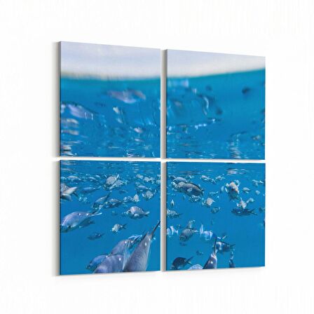 Olla 12881K4 Deniz / Okyanus Görseli Kare 4'lü Kanvas Tablo (Ölçü: 145X145)