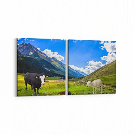 Olla 12626K2Y Hayvanlar Alemi Görseli Kare 2'li Yatay Kanvas Tablo (Ölçü: 85X40)