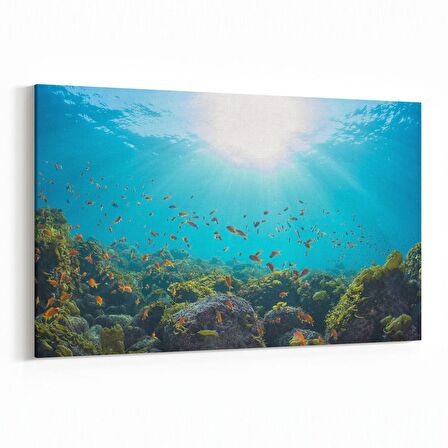 Olla 12987Y Deniz / Okyanus Görseli Yatay Kanvas Tablo (Ölçü: 30X20)