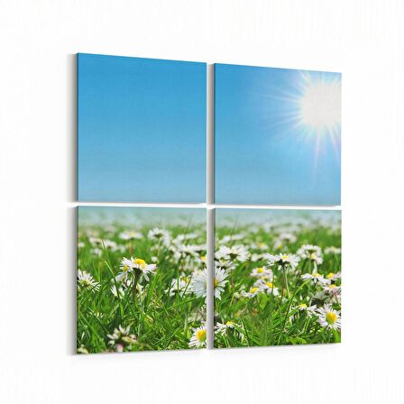 Olla 14585K4 Doğa / Manzara Görseli Kare 4'lü Kanvas Tablo (Ölçü: 145X145)