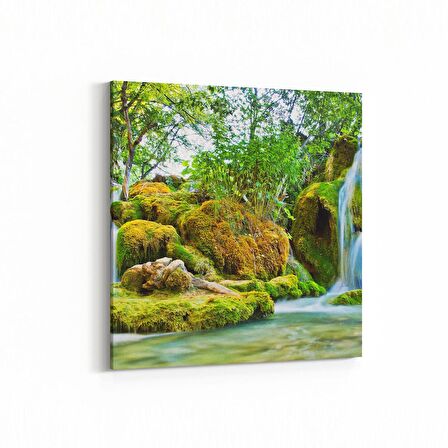 Olla 13377K Doğa / Manzara Görseli Kare Kanvas Tablo (Ölçü: 25X25)