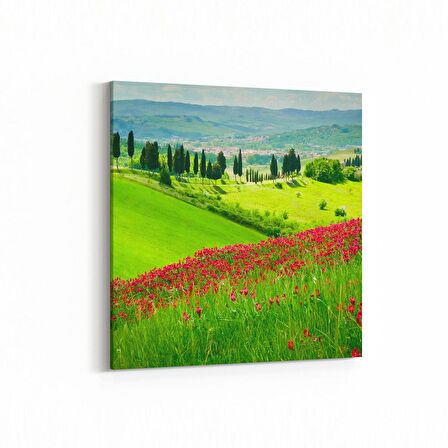 Olla 13361K Doğa / Manzara Görseli Kare Kanvas Tablo (Ölçü: 25X25)