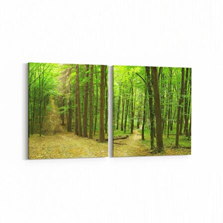 Olla 13946K2Y Doğa / Manzara Görseli Kare 2'li Yatay Kanvas Tablo (Ölçü: 125X60)