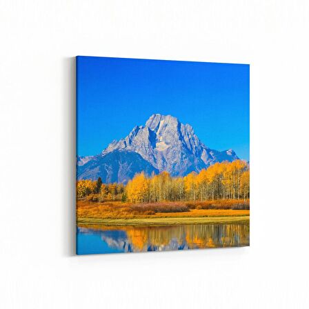 Olla 13667K Doğa / Manzara Görseli Kare Kanvas Tablo (Ölçü: 30X30)