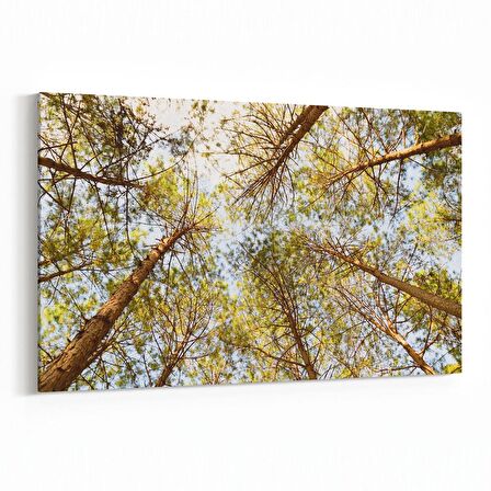 Olla 10639Y Ağaç Görseli Yatay Kanvas Tablo (Ölçü: 120X80)