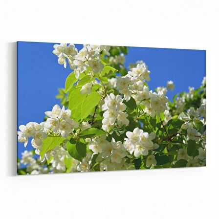 Olla 10900Y Ağaç Görseli Yatay Kanvas Tablo (Ölçü: 90X60)