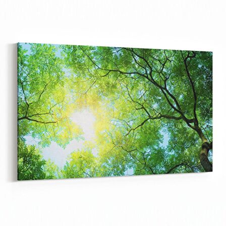 Olla 10886Y Ağaç Görseli Yatay Kanvas Tablo (Ölçü: 120X80)