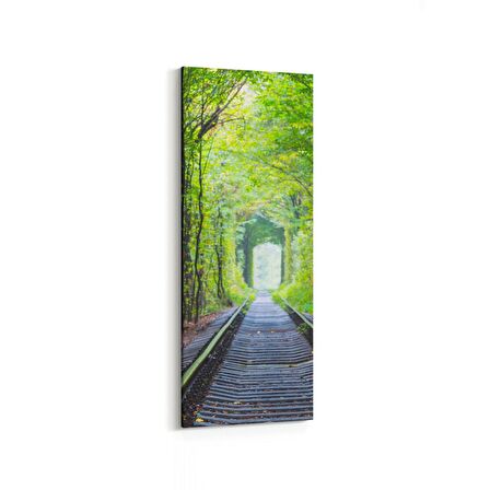 Olla 13902DI Doğa / Manzara Görseli Dikey İnce Kanvas Tablo (Ölçü: 40X120)