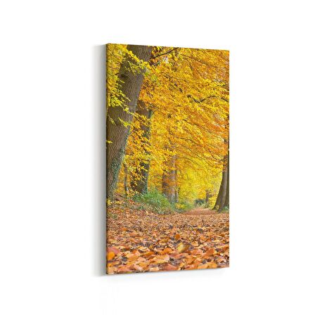 Olla 13540DD Doğa / Manzara Görseli Dikey Dar Kanvas Tablo (Ölçü: 60X120)