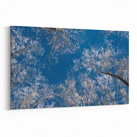 Olla 10499Y Ağaç Görseli Yatay Kanvas Tablo (Ölçü: 30X20)