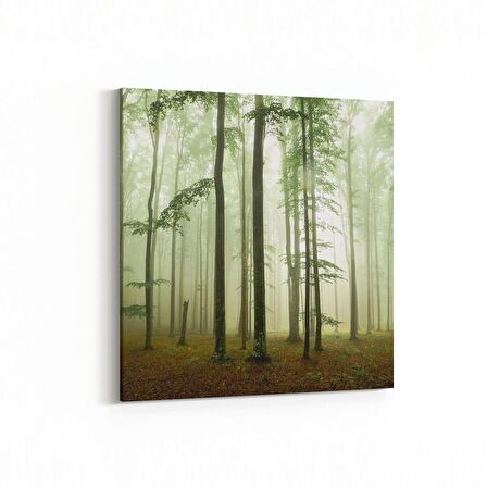 Olla 14290K Doğa / Manzara Görseli Kare Kanvas Tablo (Ölçü: 25X25)