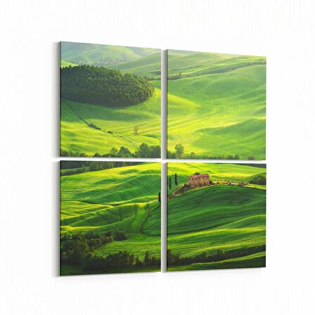 Olla 13491K4 Doğa / Manzara Görseli Kare 4'lü Kanvas Tablo (Ölçü: 145X145)